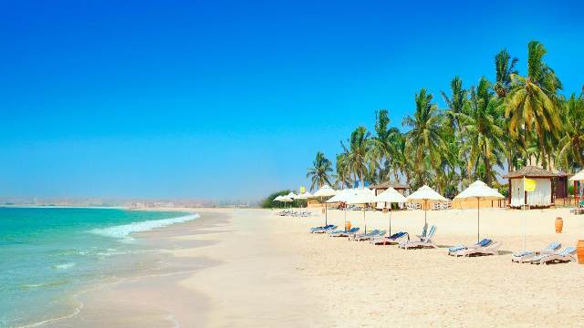 Sunny-beach-with-palm-trees-and-sunbeds-in-Salalah-Oman-Travelstoyou