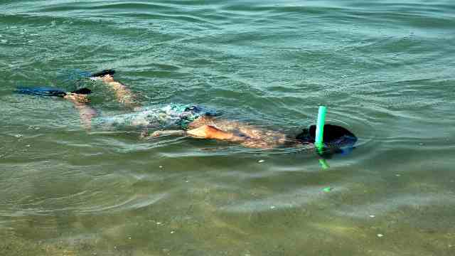 Young-boy-snorkelling-or-diving-arranged-by-travelstoyou