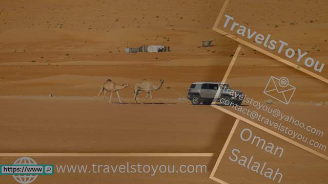 what-are-the-Wahiba-Sands-Oman-TravelsToYou